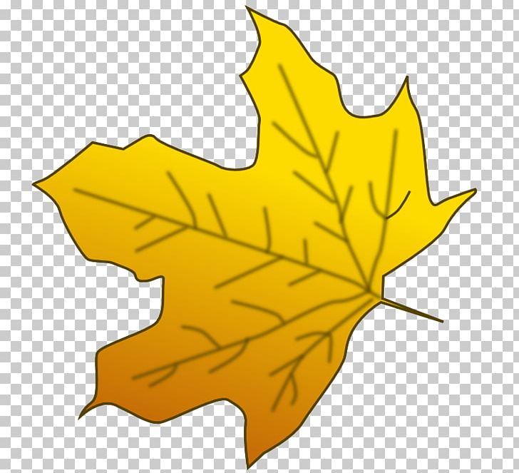Sugar Maple Red Maple Maple Leaf Yellow PNG, Clipart, Autumn, Autumn Leaf Color, Flowering Plant, Free Content, Fruit Free PNG Download