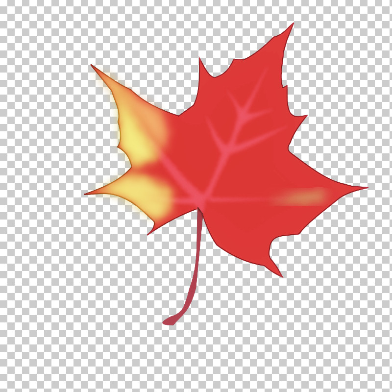 Leaf Tree Maple Leaf / M Symmetry Flower PNG, Clipart, Biology, Flower, Geometry, Leaf, Maple Leaf M Free PNG Download