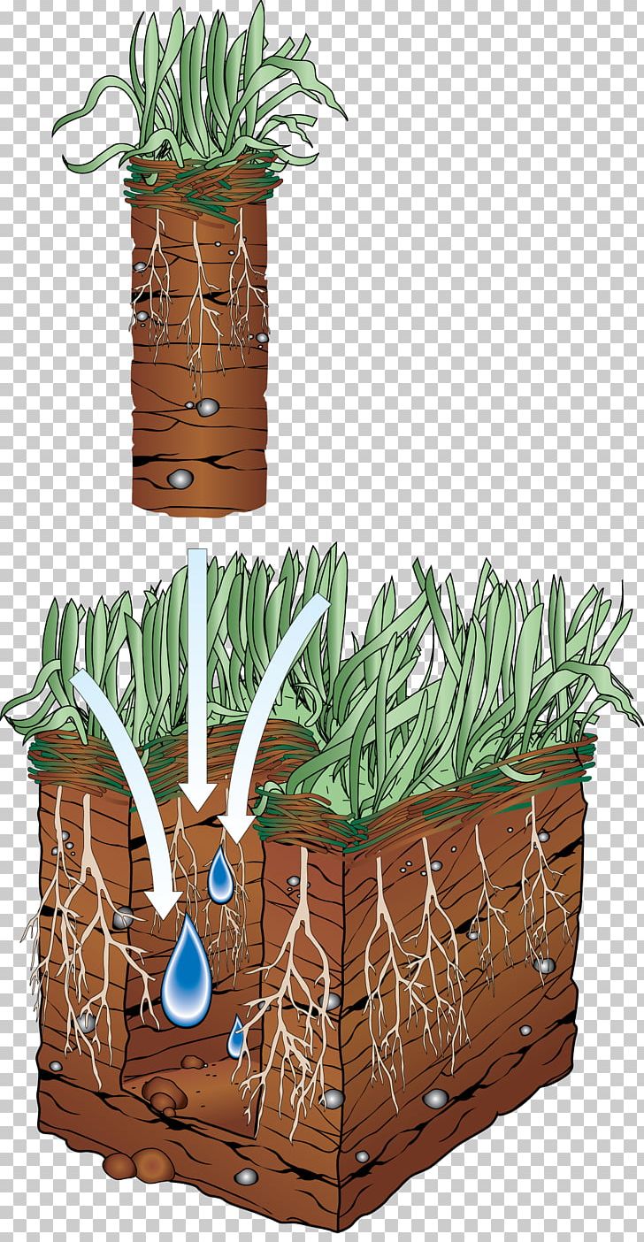 Aeration Lawn Aerator Soil Sod PNG, Clipart, Aeration, Artificial Turf, Caddo Lake, Flowerpot, Golf Course Free PNG Download