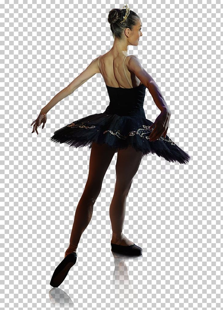 Ballet Choreographer Tutu Choreography Dance PNG, Clipart, Ballet, Ballet Dancer, Ballet Master, Ballet Tutu, Choreographer Free PNG Download