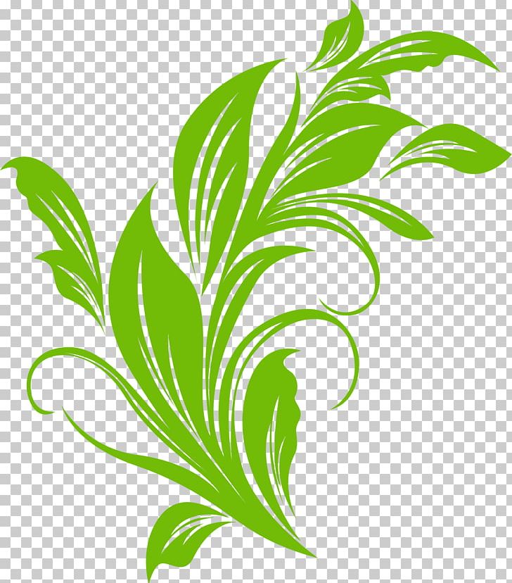 Green Leaf PNG, Clipart, Background Green, Botany, Branch, Cartoon, Coccinella Septempunctata Free PNG Download