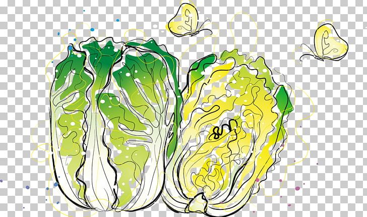 Chinese Cabbage Vegetable PNG, Clipart, Art, Auglis, Balloon Cartoon, Boy Cartoon, Broccoli Free PNG Download