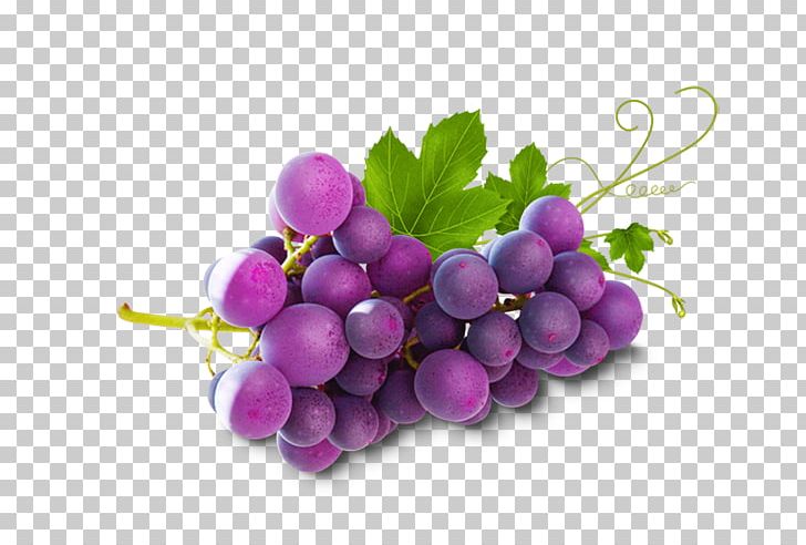 Ice Cream Grape Fruit Orange PNG, Clipart, Black Grapes, Food, Fruit, Fruit Nut, Grape Free PNG Download
