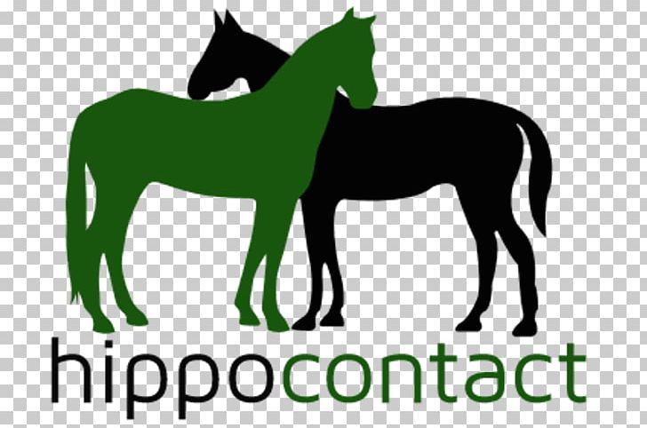 Mustang Foal Mare Stallion Colt PNG, Clipart, Bridle, Colt, Foal, Grass, Green Free PNG Download