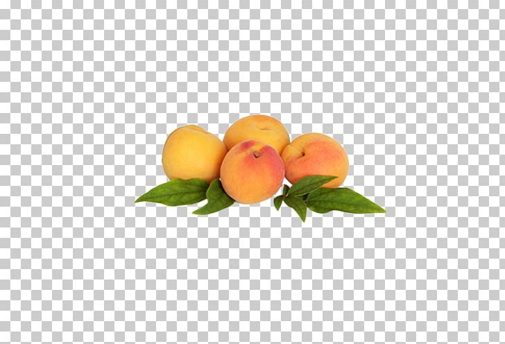 Stock Photography Apricot Fruit Plum PNG, Clipart, Apricot, Citrus, Download, Food, Fruit Free PNG Download
