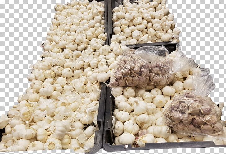 Mbulu District Nia Yetu Garlic Onion 0 PNG, Clipart, Garlic, Mbulu District, Nia, Onion Free PNG Download