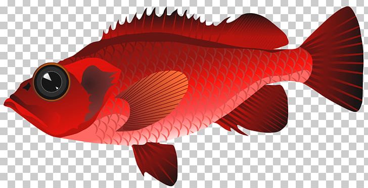 Sashimi Fish PNG, Clipart, Animals, Coral Trout, Fish, Fishing, Grouper Free PNG Download