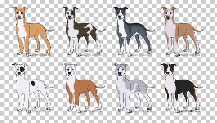 Whippet Italian Greyhound Spanish Greyhound Dog Breed PNG, Clipart, 08626, Animal, Animal Figure, Animal Sports, Breed Free PNG Download