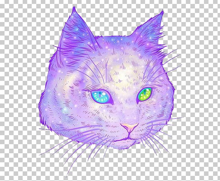 Cat Kitten Purr Felidae PNG, Clipart, Animal, Animals, Art, Avatan, Breed Free PNG Download