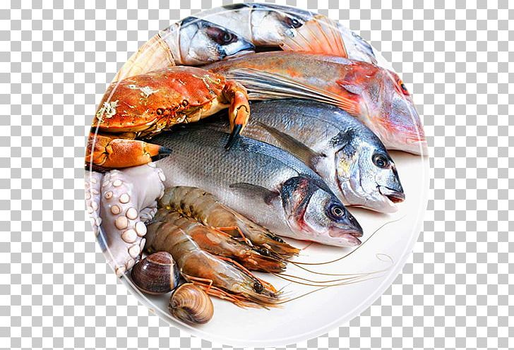 Crab Fried Fish Seafood PNG, Clipart, Animals, Animal Source Foods, Cooking, Crab, Fish Free PNG Download