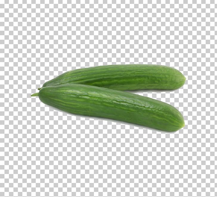 Pickled Cucumber Vegetable Pepino PNG, Clipart, Cucumber Cartoon, Cucumber Gourd And Melon Family, Cucumber Juice, Cucumbers, Cucumber Slice Free PNG Download