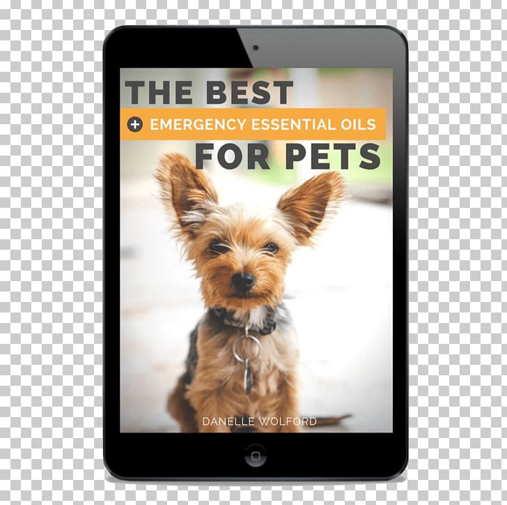 Yorkshire Terrier Morkie Puppy Essential Oil Dog Breed PNG, Clipart,  Free PNG Download