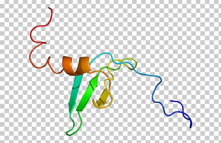 CBX1 Heterochromatin Protein 1 Ki-67 Histone PNG, Clipart, Area, Artwork, Binding Protein, Cbx, Cbx3 Free PNG Download