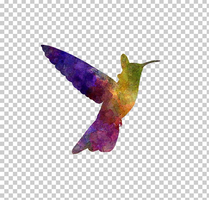 Hummingbird Watercolor Painting Art Oil Paint PNG, Clipart, Abziehtattoo, Art, Beak, Bird, Fauna Free PNG Download