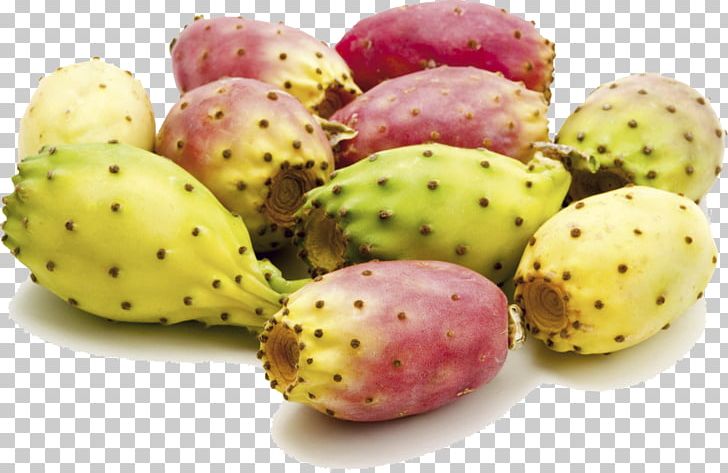 Barbary Fig Seed Oil Cactaceae Argan Oil PNG, Clipart, Argan, Cactus, Carrier Oil, Essential Oil, Ficus Free PNG Download