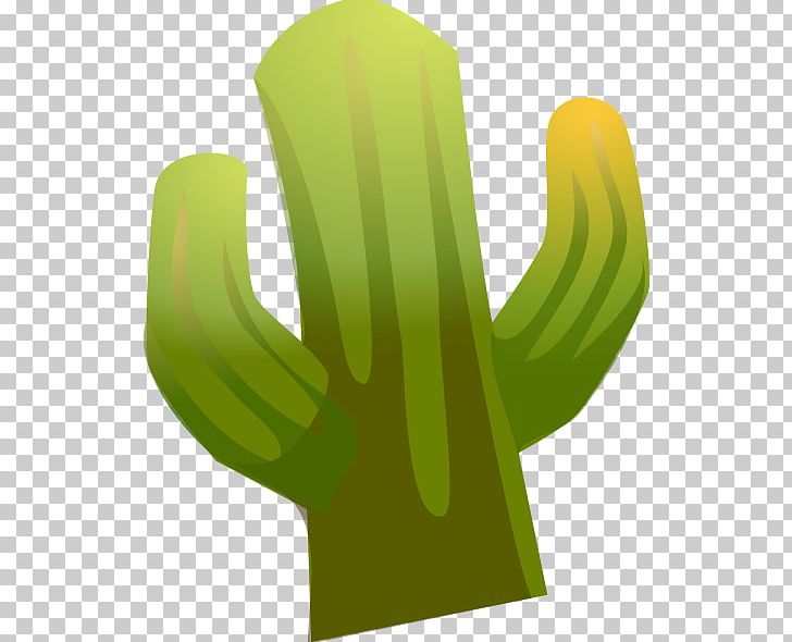 Cactaceae Euclidean Illustration PNG, Clipart, Adobe, Botany, Cactaceae, Cactus, Cactus Cartoon Free PNG Download