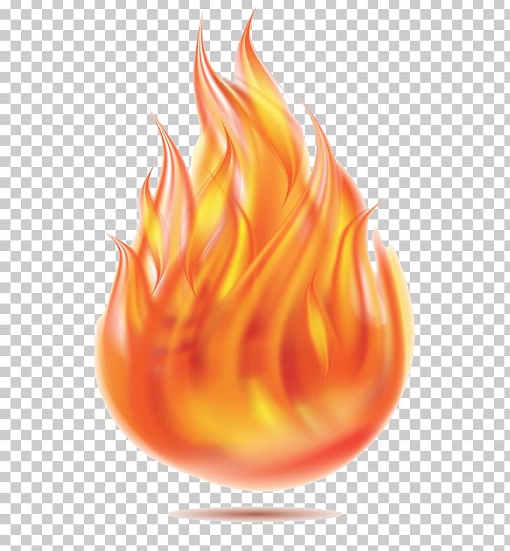 Fire Flame PNG, Clipart, Blue Flame, Cartoon, Combustion, Computer Wallpaper, Decorative Free PNG Download