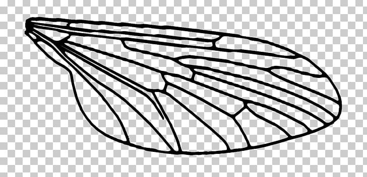 Fly Drawing Insect PNG, Clipart, Angle, Animals, Area, Black And White, Circle Free PNG Download