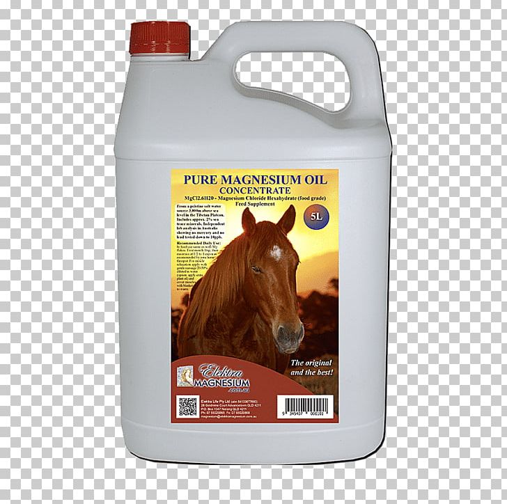Horse Dietary Supplement Magnesium Oil Magnesium Chloride PNG, Clipart, 5 L, Animals, Chloride, Concentrate, Dietary Supplement Free PNG Download