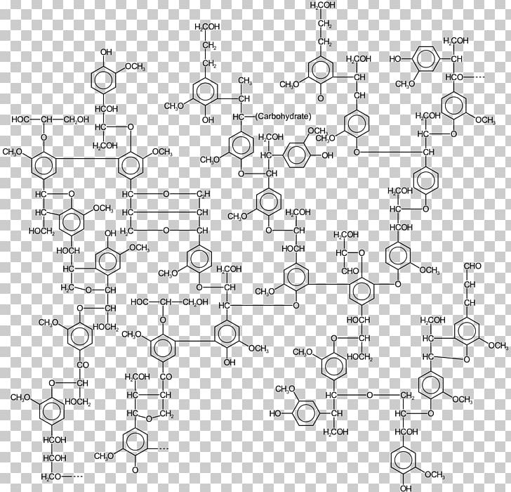 Lignin Cellulose Polymer Paper Chemistry PNG, Clipart, Angle, Area, Auto Part, Black And White, Carbohydrates Free PNG Download