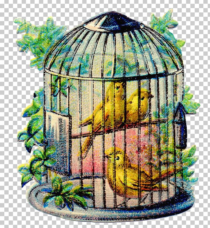 Domestic Canary Birdcage PNG, Clipart, Aviary, Beak, Bird, Birdcage, Bird Nest Free PNG Download