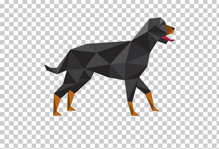 Rottweiler Puppy Paper Geometry PNG, Clipart, Animals, Background Black, Bla, Black Background, Black Board Free PNG Download