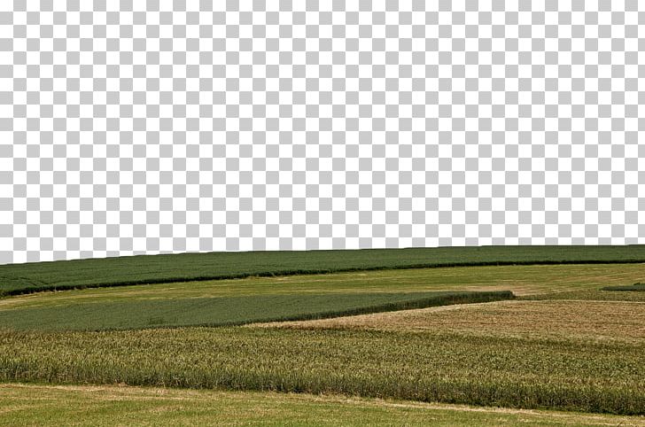 Farm Grassland Energy Crop Sky PNG, Clipart, Agriculture, Cereals, Crop, Ecoregion, Energy Free PNG Download