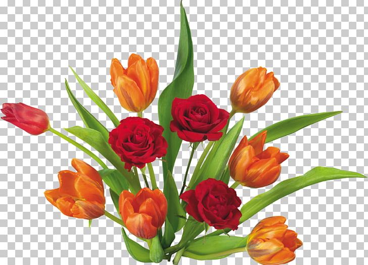 Flower Tulip PNG, Clipart, Blog, Cut Flowers, Floral Design, Floristry, Flower Free PNG Download