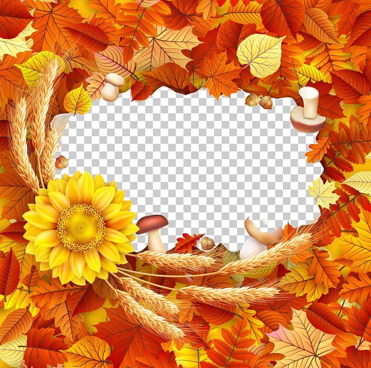 Paper Illustration PNG, Clipart, Apple Fruit, Autumn, Calendula, Color, Computer Wallpaper Free PNG Download