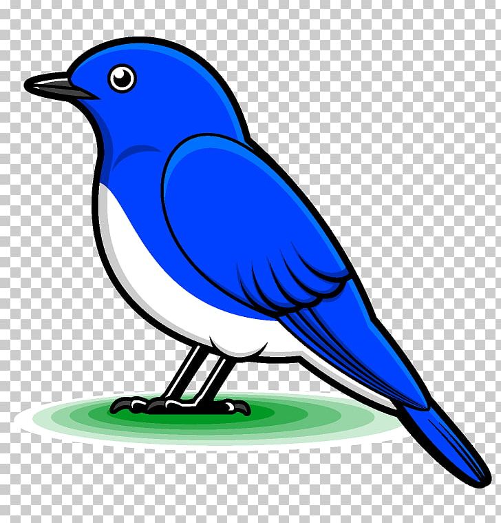 Bird Chicken 野鳥 PNG, Clipart, Animal, Artwork, Beak, Bird, Birdwatching Free PNG Download