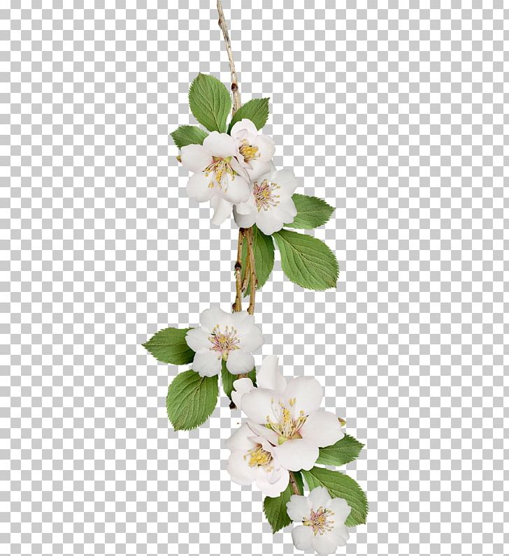 Flower PNG, Clipart, Background White, Black White, Blossom, Branch, Cherry Blossom Free PNG Download