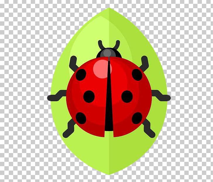 Ladybird Beetle PNG, Clipart, Animals, Animation, Beetle, Beetle Pictures, Cartoon Free PNG Download