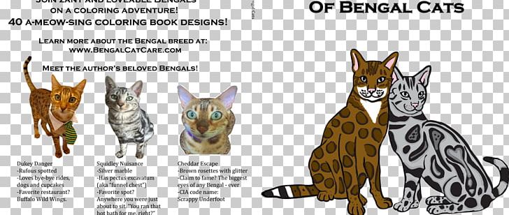 The Big Coloring Book Of Bengal Cats Maine Coon Ragdoll California Spangled PNG, Clipart, Animals, Bengal Cat, Book, Breed, California Spangled Free PNG Download