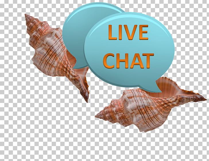 The Tuscany On Grace Bay Online Chat LiveChat Resort Suite PNG, Clipart, Amenity, Boutique, Conch, Conchology, Customer Service Free PNG Download