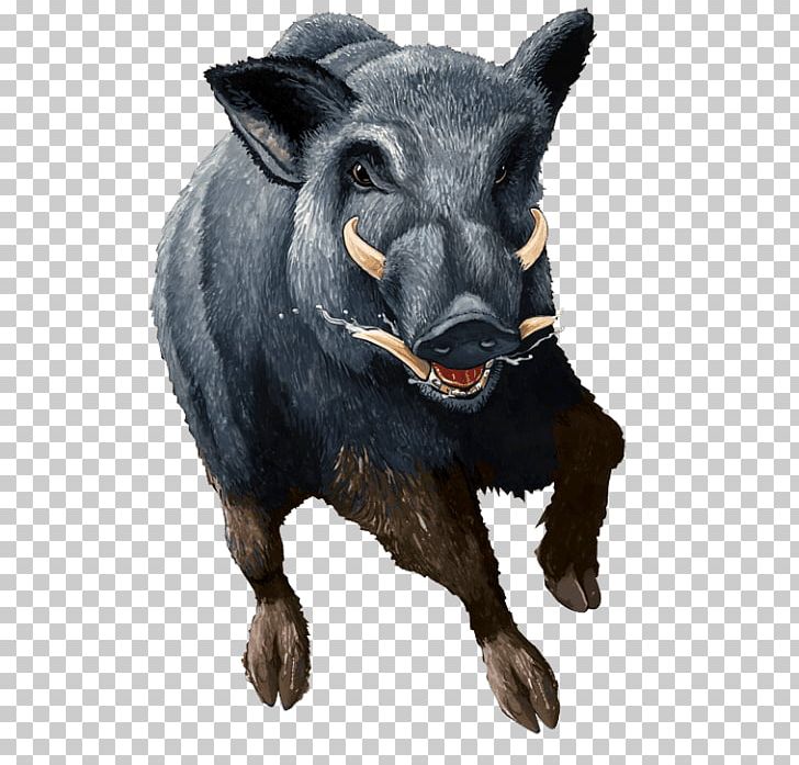 Wild Boar Transparency And Translucency PNG, Clipart, Boar, Cattle Like Mammal, Computer Icons, Cow Goat Family, Download Free PNG Download