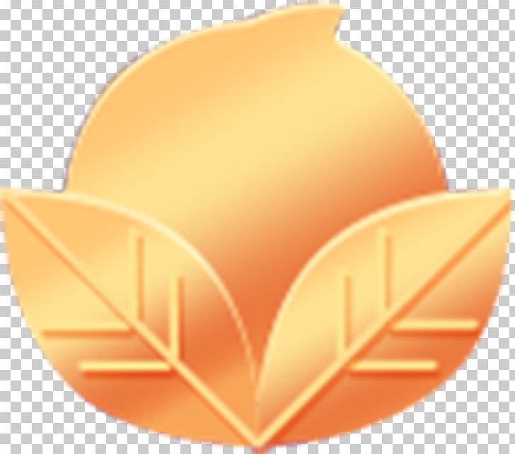 Golden Frame Text Heart PNG, Clipart, Adobe Illustrator, Circle, Computer Wallpaper, Designer, Download Free PNG Download