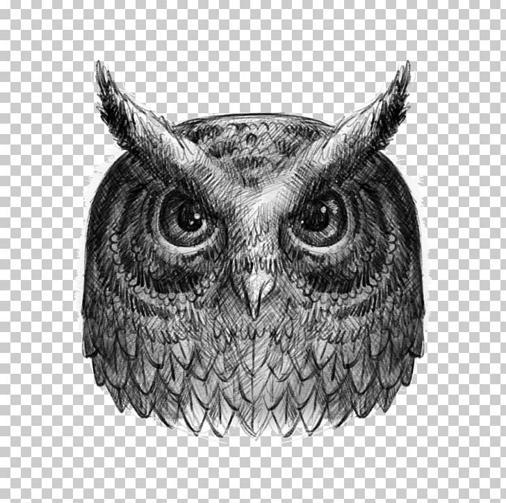 Owl Drawing Black And White PNG, Clipart, 3d Animation, Animal, Animals Vector, Animation, Anime Character Free PNG Download