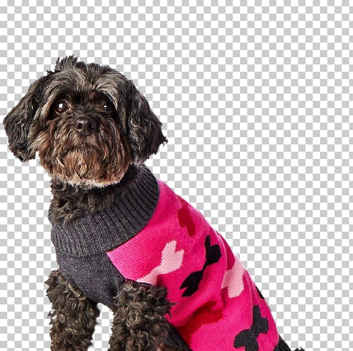 Schnoodle Affenpinscher Dog Breed Companion Dog Dog Clothes PNG, Clipart, Affenpinscher, Bone, Breed, Clothing, Companion Dog Free PNG Download