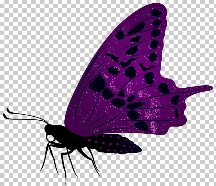 Butterfly Purple PNG, Clipart, Arthropod, Brush Footed Butterfly, Butterflies, Butterflies And Moths, Butterfly Free PNG Download
