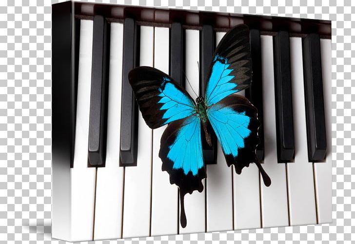 Piano Flower Dance Pianist Google Maps Business PNG, Clipart, Business, Butterfly, Flower Dance, Furniture, Google Free PNG Download