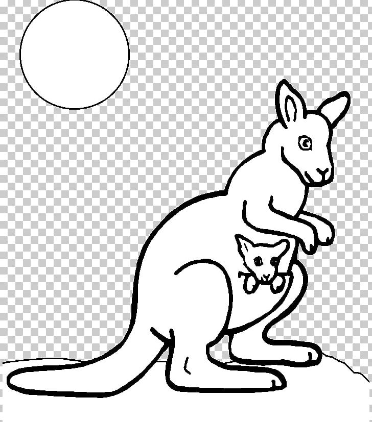 Red Kangaroo Coloring Book Child PNG, Clipart, Adult, Animal, Animals, Carnivoran, Cat Like Mammal Free PNG Download