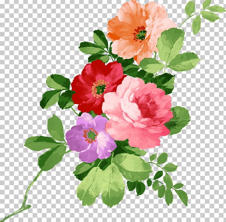 Watercolour Flowers Watercolor Painting PNG, Clipart, Annual Plant, Art, Blossom, Crocus, Cut Flowers Free PNG Download