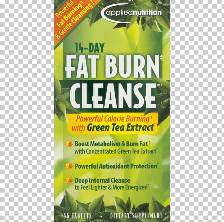 Detoxification Weight Loss Nutrition Fat Emulsification PNG, Clipart, Advertising, Antiobesity Medication, Apply, Burn, Colon Cleansing Free PNG Download