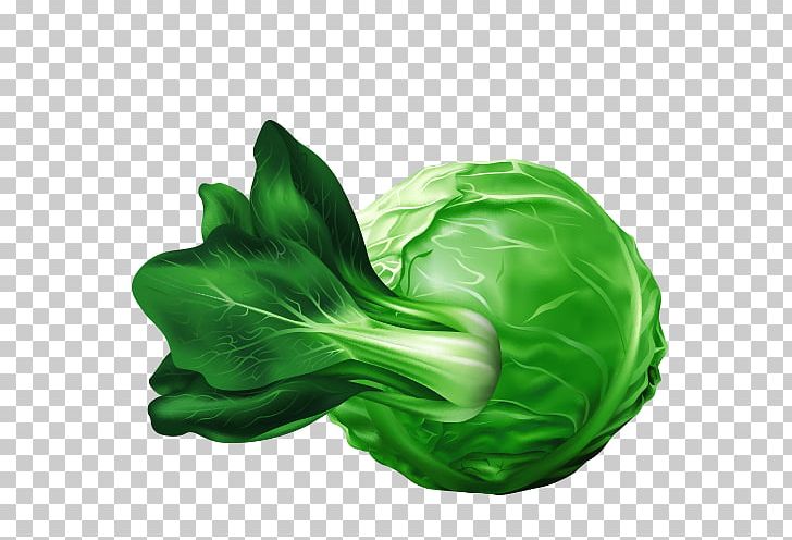 Vegetable Cartoon Drawing PNG, Clipart, Animation, Balloon Cartoon, Boy Cartoon, Cartoon Character, Cartoon Cloud Free PNG Download