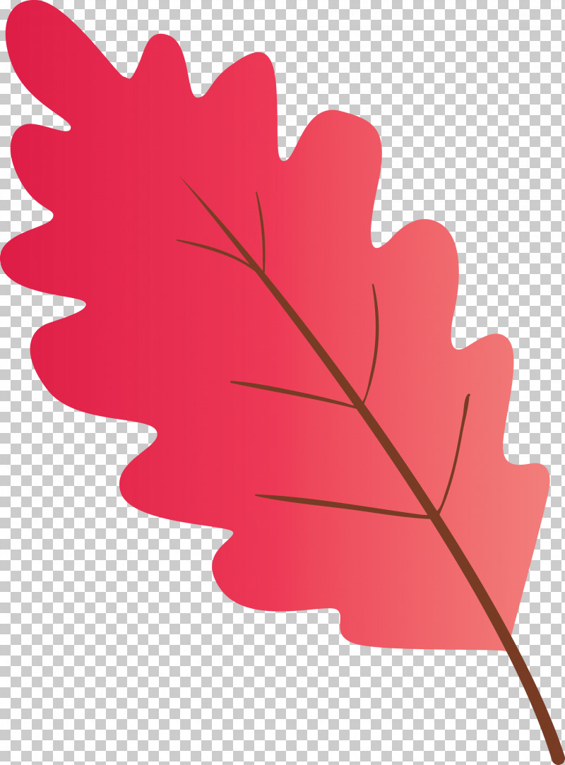 Maple Leaf PNG, Clipart, Black Maple, Coquelicot, Flower, Leaf, Maple Leaf Free PNG Download