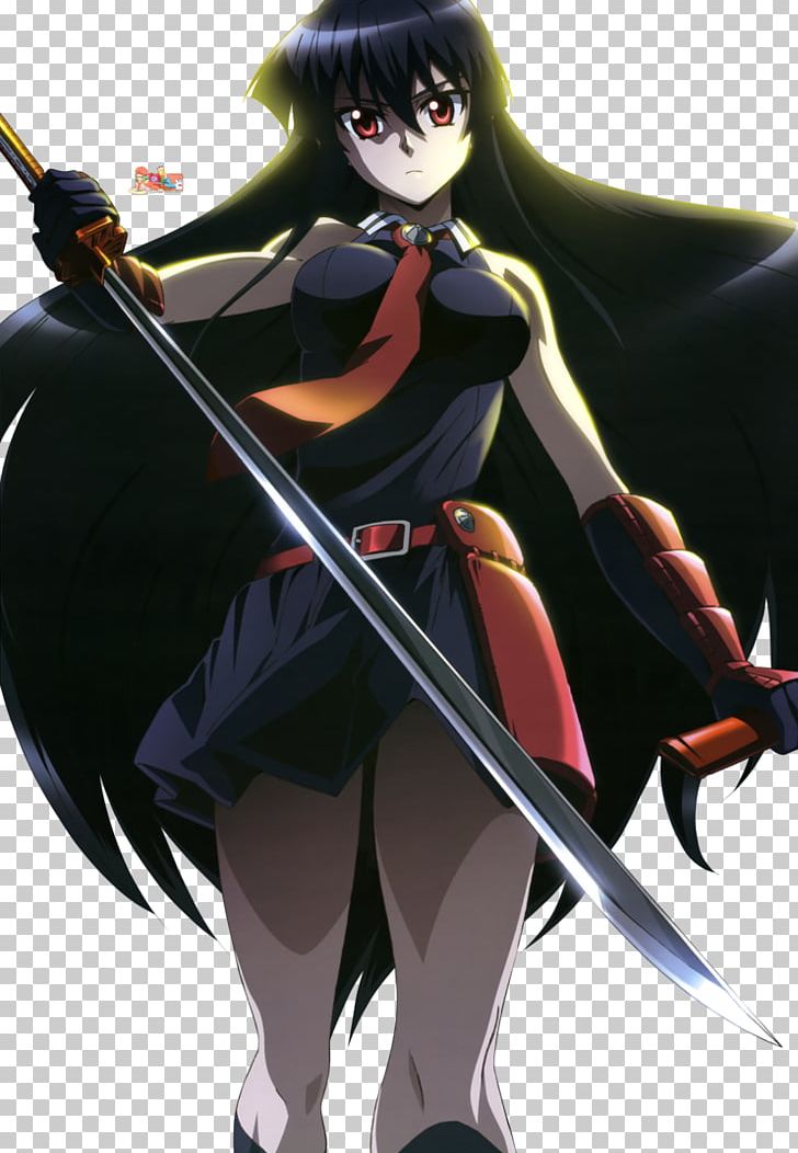 Akame Ga Kill! Anime Manga White Fox PNG, Clipart, Akame, Akame Ga Kill, Anime, Black Hair, Cartoon Free PNG Download