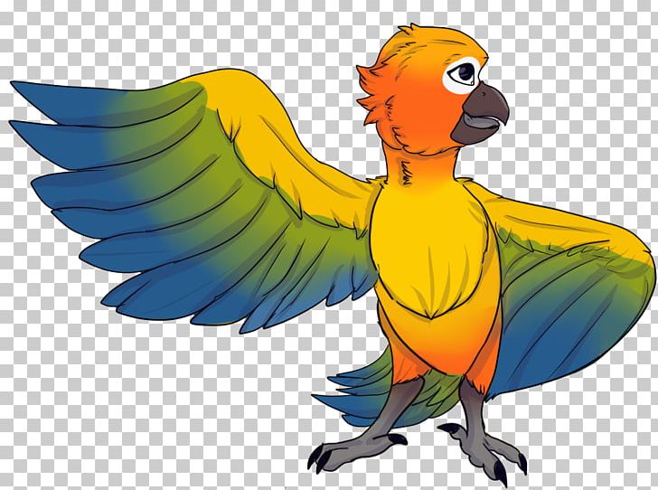 Macaw Lovebird Beak Feather Wing PNG, Clipart, Art, Beak, Bird, Dirty Laundry, Fauna Free PNG Download