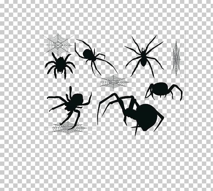 Widow Spiders Spider Web PNG, Clipart, Arthropod, Background Black, Black, Black, Black And White Free PNG Download