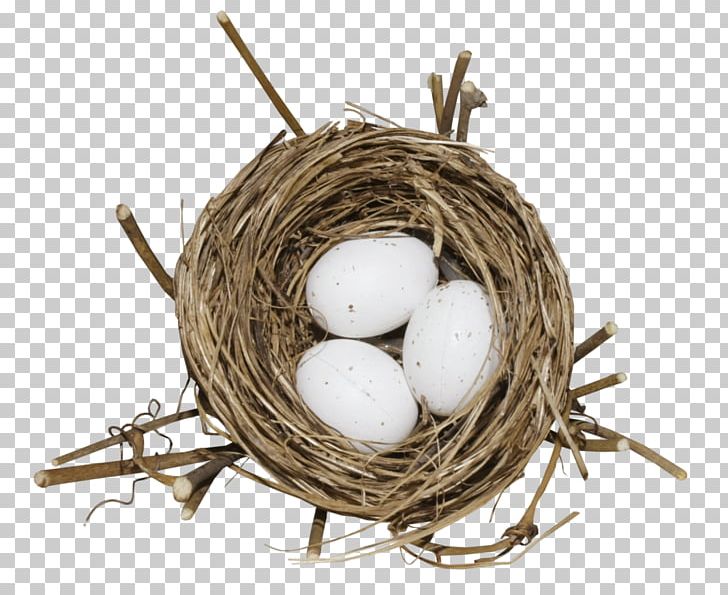 Bird Nest Egg PNG, Clipart, Animals, Bird, Bird Nest, Computer Graphics, Download Free PNG Download