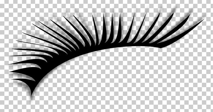 Eyelash Extensions PNG, Clipart, Artificial Hair Integrations, Beauty, Black, Black And White, Clip Art Free PNG Download